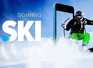 Register Dominio Ski